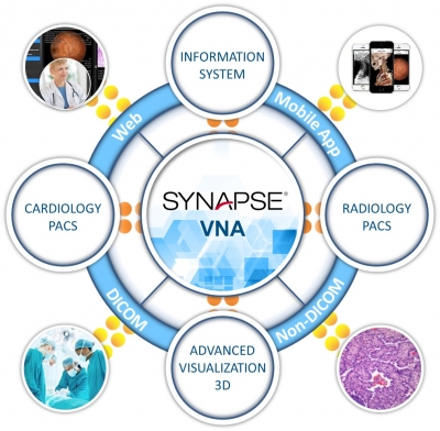 Synapse Cardiovascular